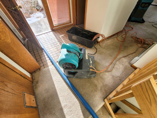 Best Ceiling water damage repair  in Fairview, NC