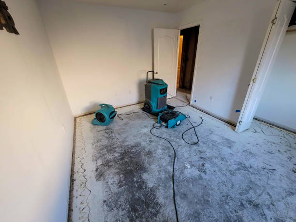 Best Flooded house restoration  in Fairview, NC