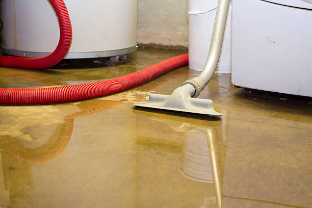Best 24/7 water damage repair  in Fairview, NC