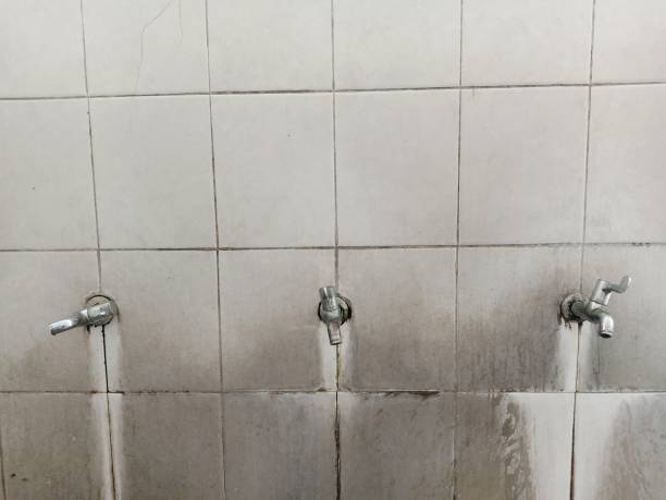  Fairview, NC Water damage restoration Pros