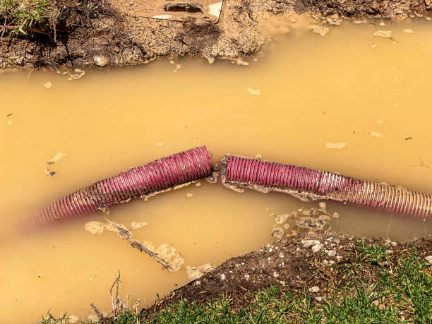 Best Emergency water damage restoration  in Fairview, NC